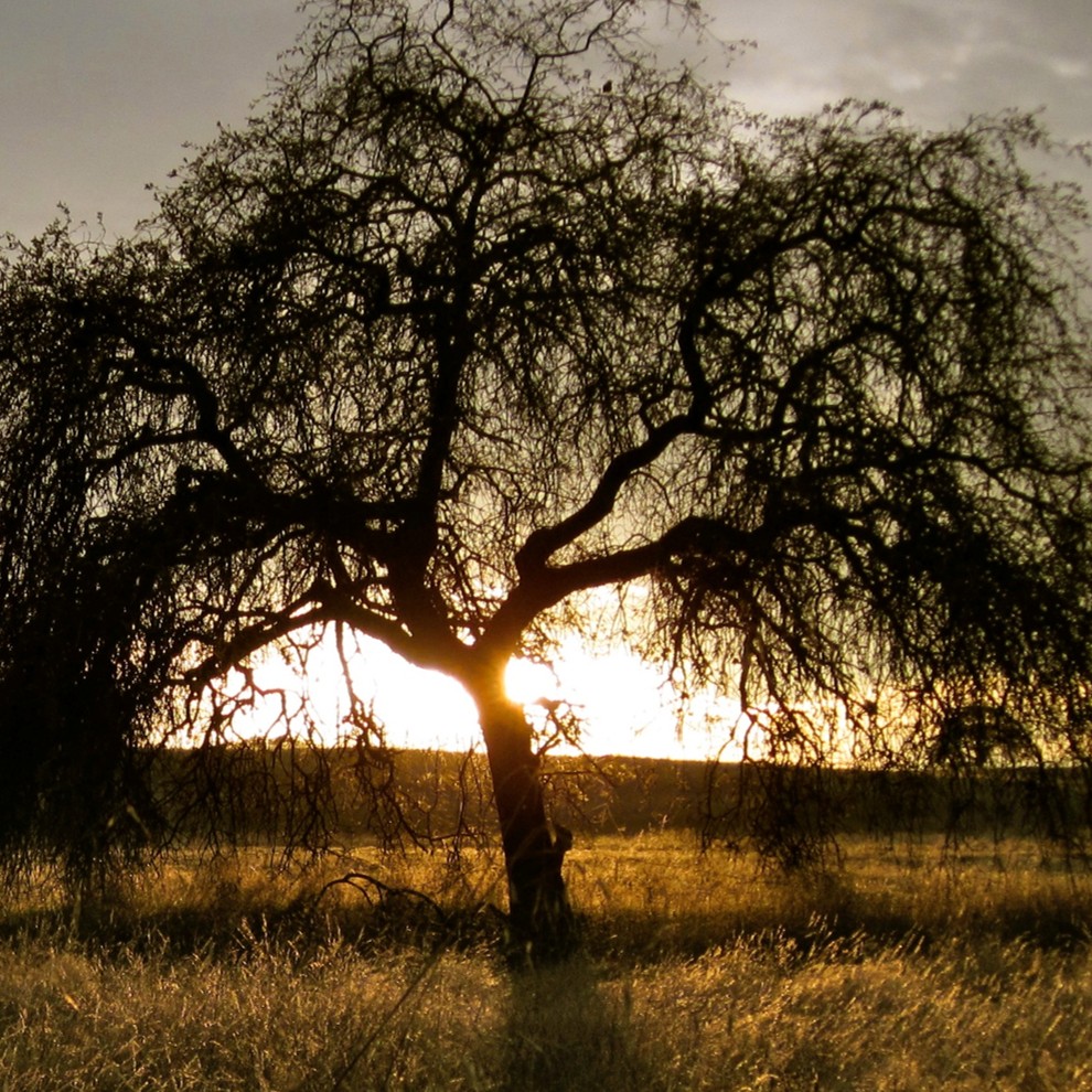 American RIver, Middle Fork 4