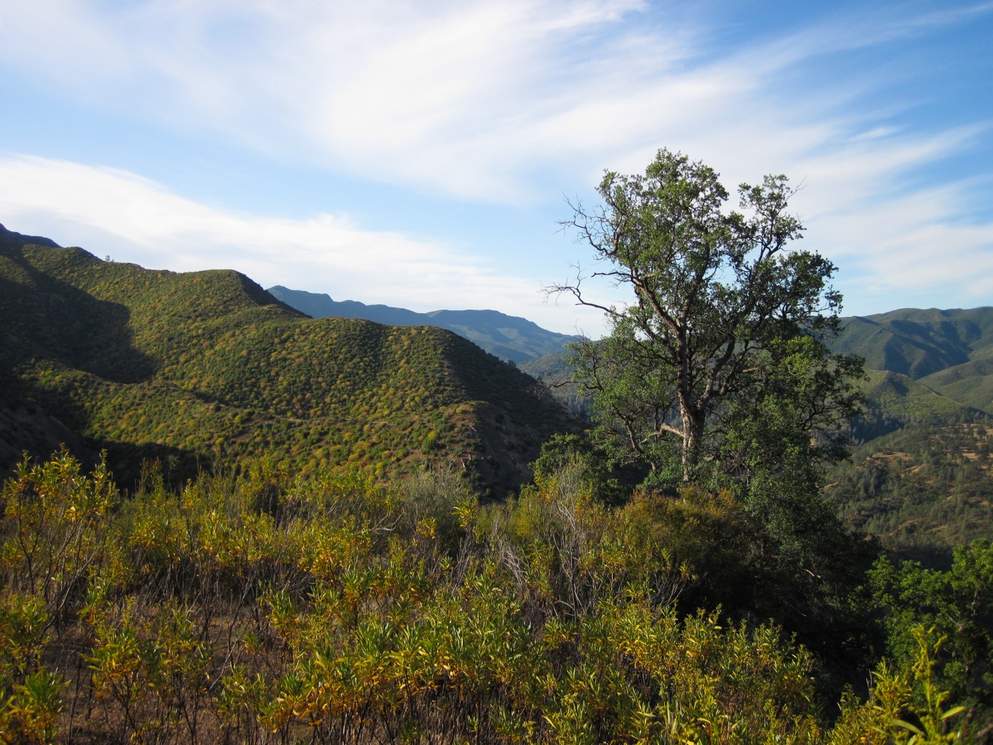 Cache Creek Watershed